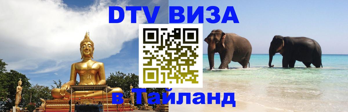 Оформление DTV визы под ключ: стоимость и тарифы, только загранпаспорт - 21.11.2025 